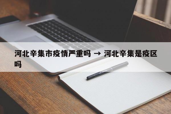 河北辛集市疫情严重吗 → 河北辛集是疫区吗