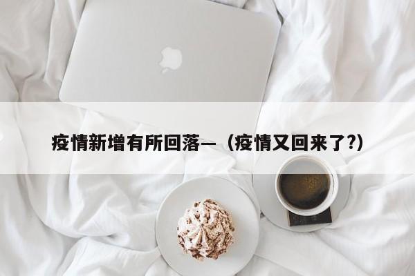 疫情新增有所回落—(疫情又回来了?)