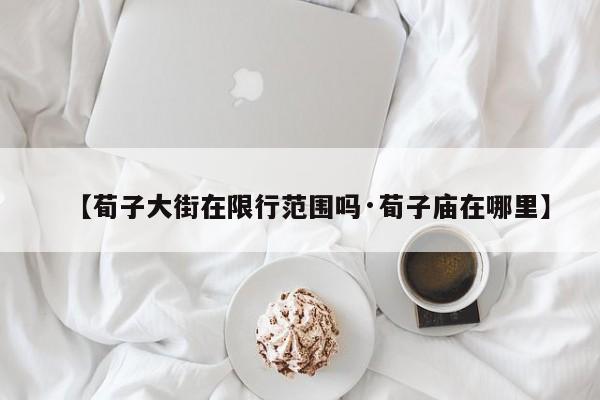 【荀子大街在限行范围吗·荀子庙在哪里】