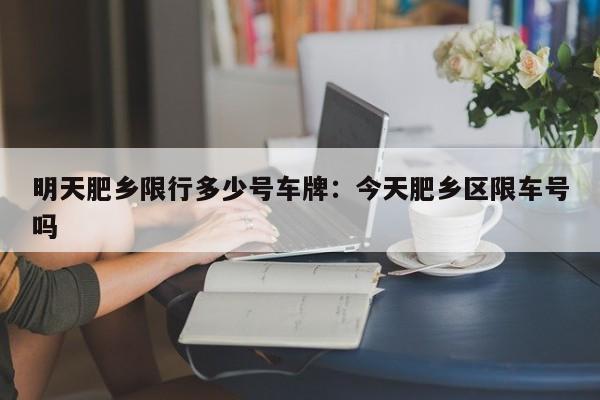 明天肥乡限行多少号车牌:今天肥乡区限车号吗